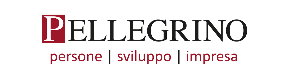 Pellegrino Consulting Services