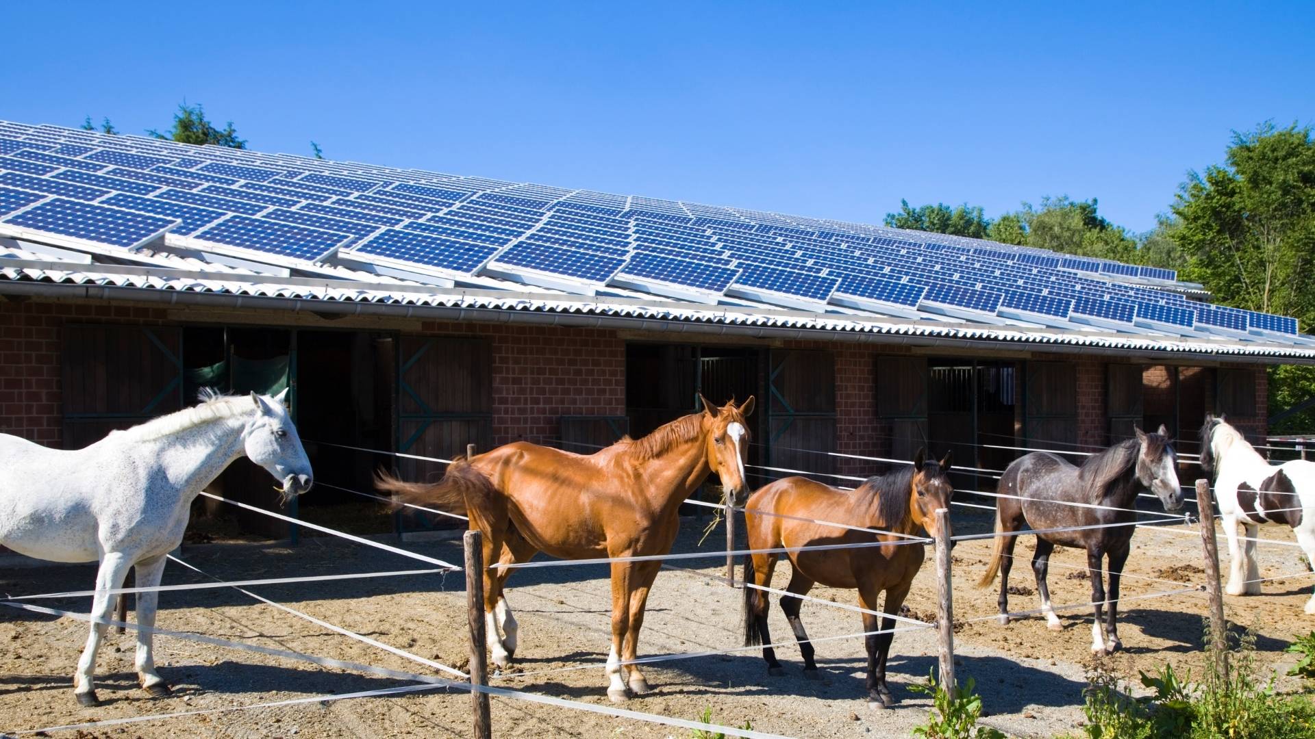 immagine con stalla con pannelli fotovoltaici e cavalli
